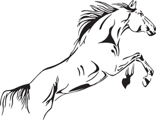 Beautiful Fashionable Jumping Horse Pattern Wild Aggression Aggressive Animals Artwork vector editable logo for Wall Sticker wallpaper t-shirt design and multipurpose use in high definition format