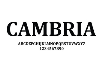 Cambria  font for logo and headline. Isolated vector typeset