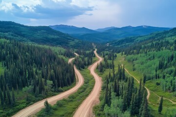 Winding dirt road through lush green forest and mountains