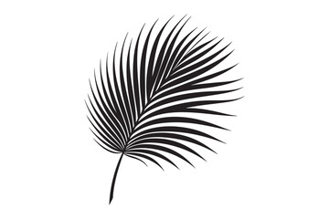 A Palm Tree Leaf Silhouette vector 