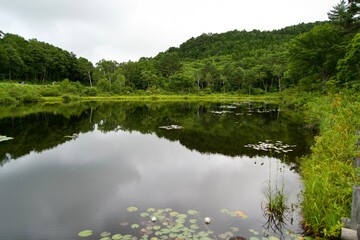 Scenery of Ichinuma in Shiga Kogen