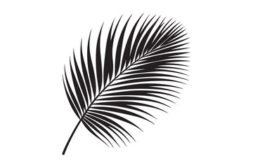 Fototapeta premium A Palm Tree Leaf Silhouette vector 