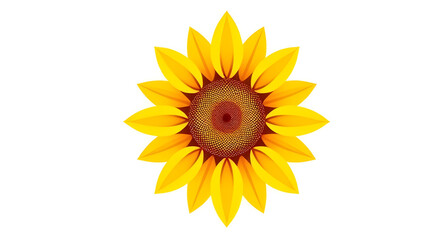 Fototapeta premium sunflower isolated on white illustration