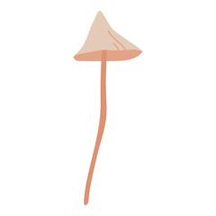 illustration of fungi 