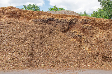 Pile de copeaux de bois en attente de traitement