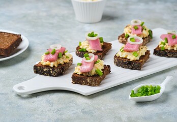 Appetizer, mini sandwiches on rye bread with egg salad, pickled herring and green onions on a white ceramic serving board on a gray concrete background. Sandwich recipes.