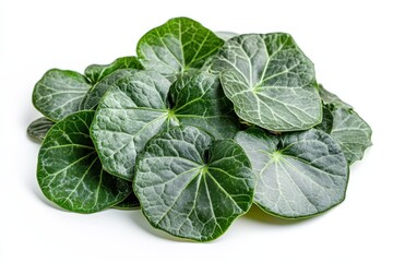 Obraz premium Jiaogulan Leaves on Light Surface Nutritious Benefits