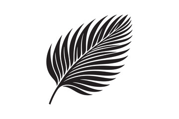 Obraz premium A Palm Tree Leaf Silhouette vector 