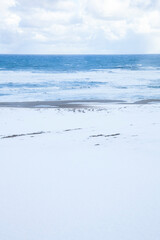 冬の鳥取砂丘の雪景色 鳥取県 鳥取砂丘