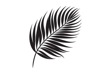 A Palm Tree Leaf Silhouette vector 