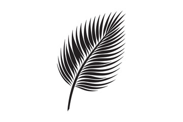 Fototapeta premium A Palm Tree Leaf Silhouette vector
