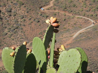 Blick auf die Berglandschaft Gran Canarias