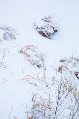 冬の鳥取砂丘の雪景色 鳥取県 鳥取砂丘