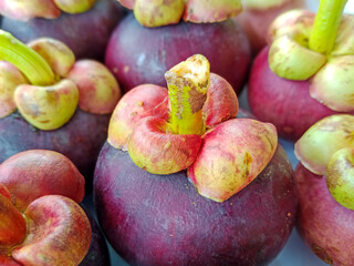 Close up of fresh and sweet mangosteen fruit with bright light and isolated fruit © Vhilandary