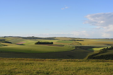 beautiful green summer view of English countryside