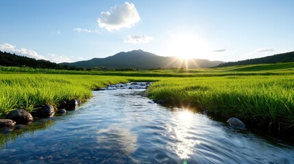Fototapeta premium A stream running through a lush green field with mountains in the background