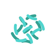 Lactobacillus probiotics 