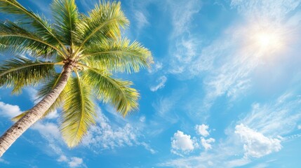 A tall palm tree in the middle of a blue sky