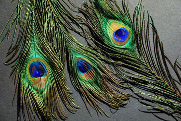 Many beautiful peacock feathers on light brown background, top view
