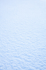 冬の鳥取砂丘の雪景色 鳥取県 鳥取砂丘