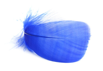 One fluffy light feather isolated on white