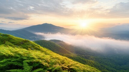 Obraz premium A view of the sun setting over a mountain range