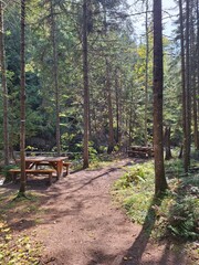 Picnic table in the forest on a hiking trail