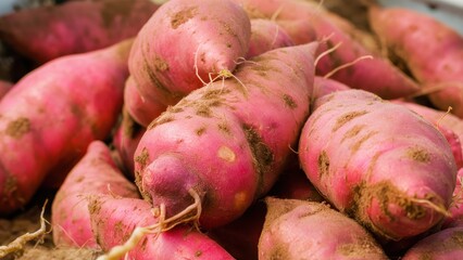 Sweet potatoes, organic produce, vibrant pink color, earthy tones, fresh harvest, root vegetables, rustic texture, farm-to-table, natural lighting, close-up photography, culinary ingredients, healthy 