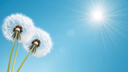 A dandelion blowing in the wind with the sun in the background