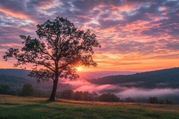 Fototapeta premium Solitary Tree Silhouetted Against a Vibrant Sunrise Over Rolling Hills