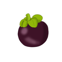 fruit