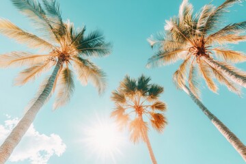 Swaying Coconut Trees Under Midday Sunlight with Vast Ocean Horizon and Clear Blue Sky