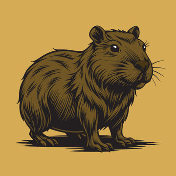 nutria roditore simile al castoro 01