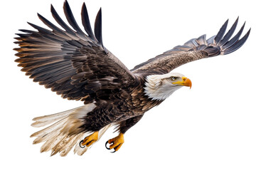 Fototapeta premium Majestic Eagle Adult Isolated on transparent Background for Artwork