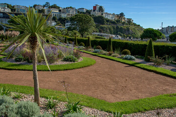 Obraz premium Italian gardens at Torre Abbey Park and meadows. Landmark tourist attraction Tropical palms, Mediterranean plants showcase the English Riviera. 