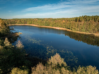 Autumn at lake and forest, aerial view of Poland