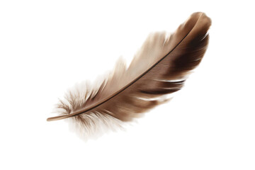 Obraz premium High-Quality Isolated Feather With Transparent Background Image