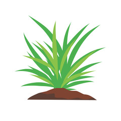 Leaf grass decoration element in fresh green color