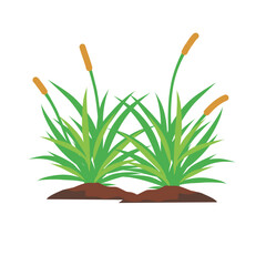 Leaf grass decoration element in fresh green color