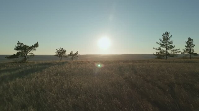Sun shining over vast grasslands and hills at sunset