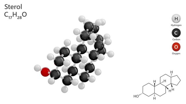 Sterol. Animated 3D model of a molecule. Molecular formula: C17H28O. Chemical model: Ball and stick. Sterols are a subgroup of steroids. White background. 3D rendering. Seamless loop.
