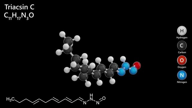 Triacsin C. Vasodilator. Animated 3D model of a molecule. Molecular formula: C11H17N3O. Chemical model: Ball and stick. Black background. 3D rendering. Seamless loop.