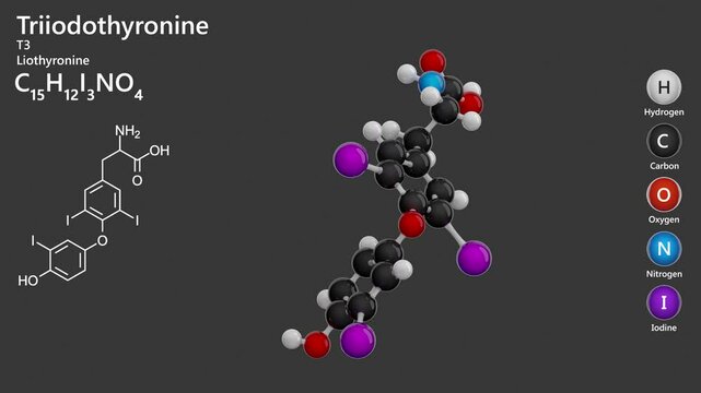 Triiodothyronine or T3. Thyroid hormone. Animated 3D model of a molecule. Molecular formula: C15H12I3NO4. Chemical model: Ball and stick. Gray background. 3D rendering. Seamless loop.