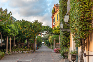 Fototapeta premium Italian villa and old park with tangerine and plant arches