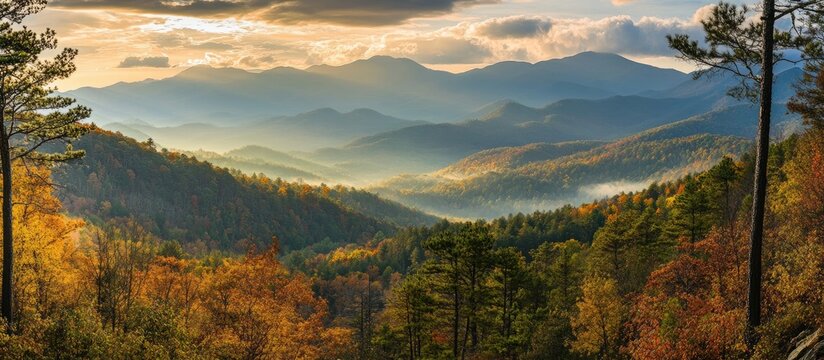 Autumnal mountain sunrise panorama misty valley foliage