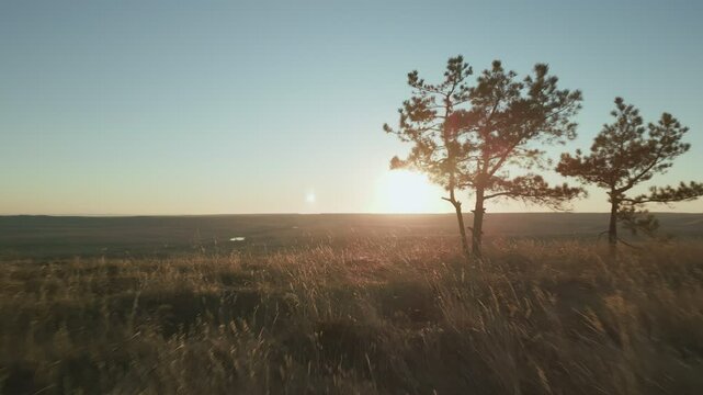 Warm sunset over grassy hills and trees montage