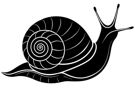 recommend clip art: snail silhouette vector, Sea snail vector illustration 