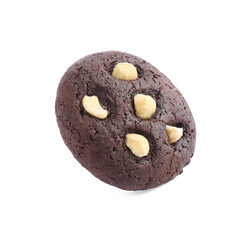 One tasty chocolate cookie with hazelnuts isolated on white