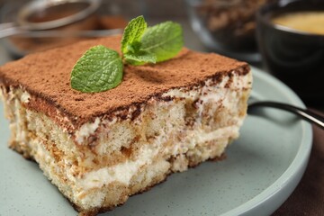 Piece of tasty tiramisu with fresh mint on table, closeup