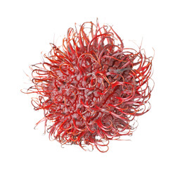 Naklejka premium Delicious ripe rambutan isolated on white. Exotic fruit